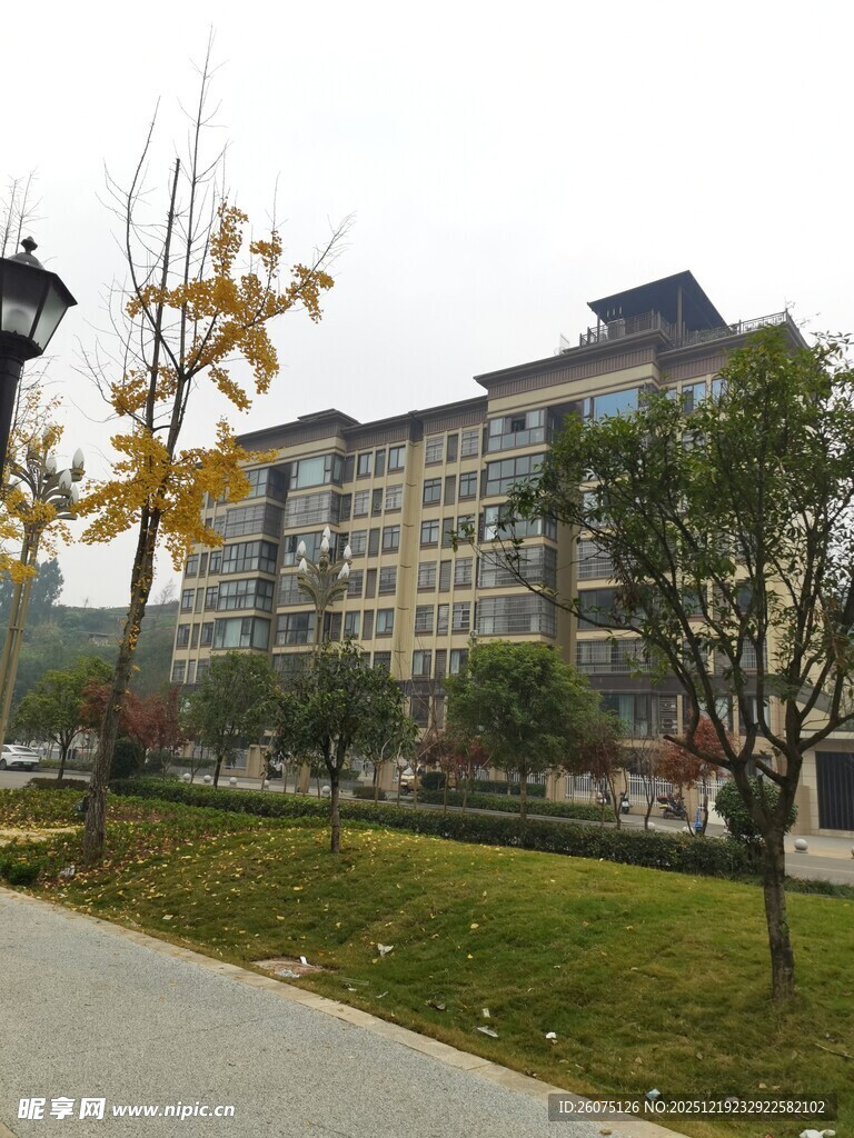 校园旁的多层建筑景观