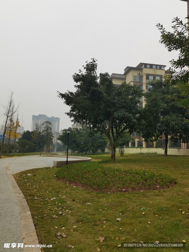 城市公园中的宁静小路