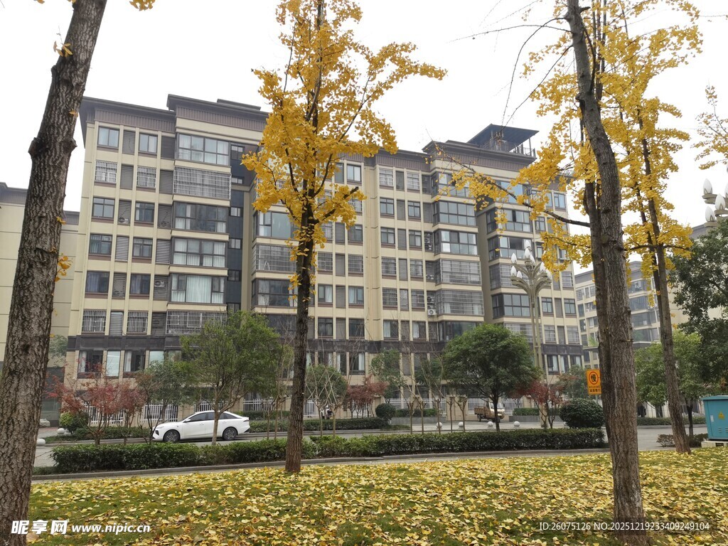 秋日小区美景