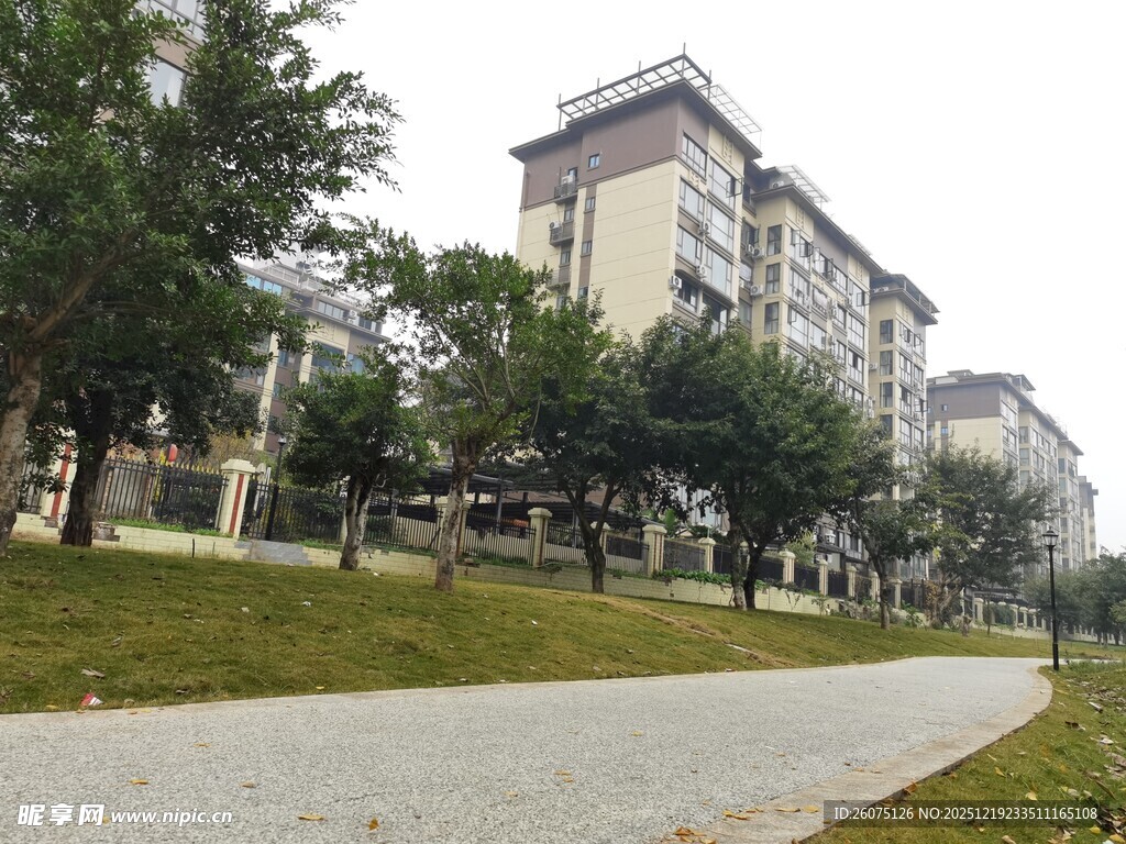 小区内的林荫步道景观