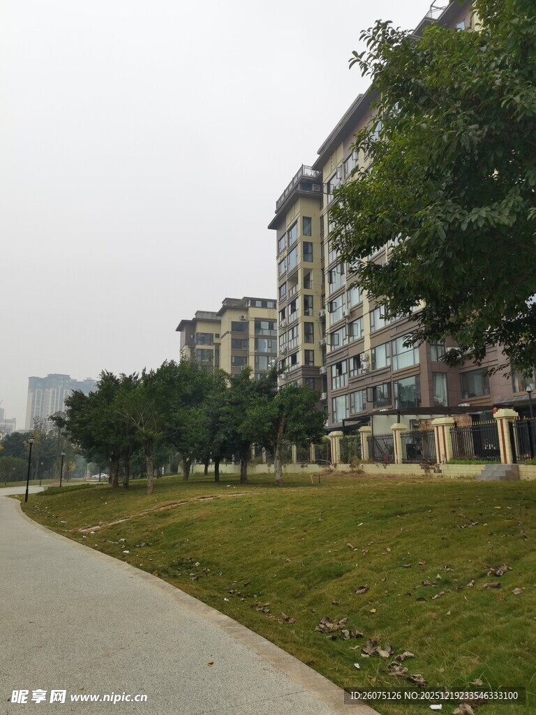 小区旁的林荫步道