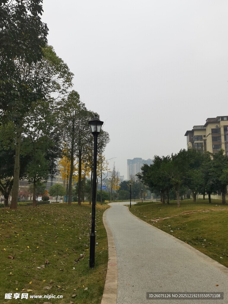 城市公园中的幽静步道