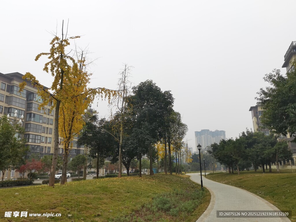 城市公园中的宁静小路