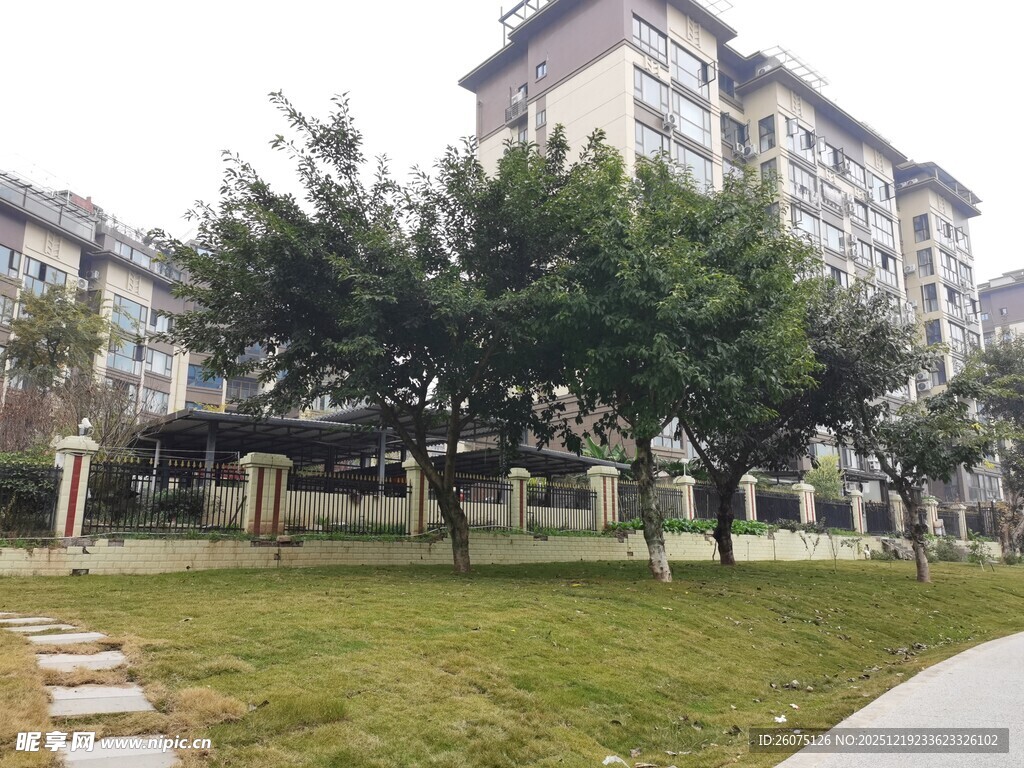 小区内的绿化景观