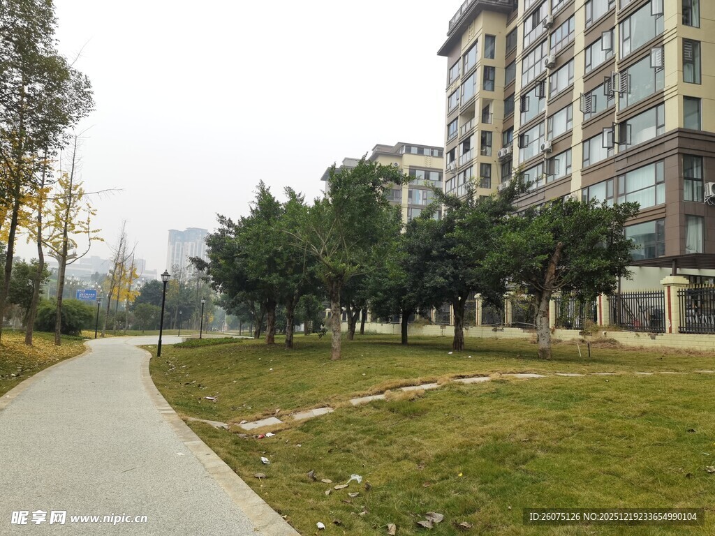 小区旁的宁静林荫小道