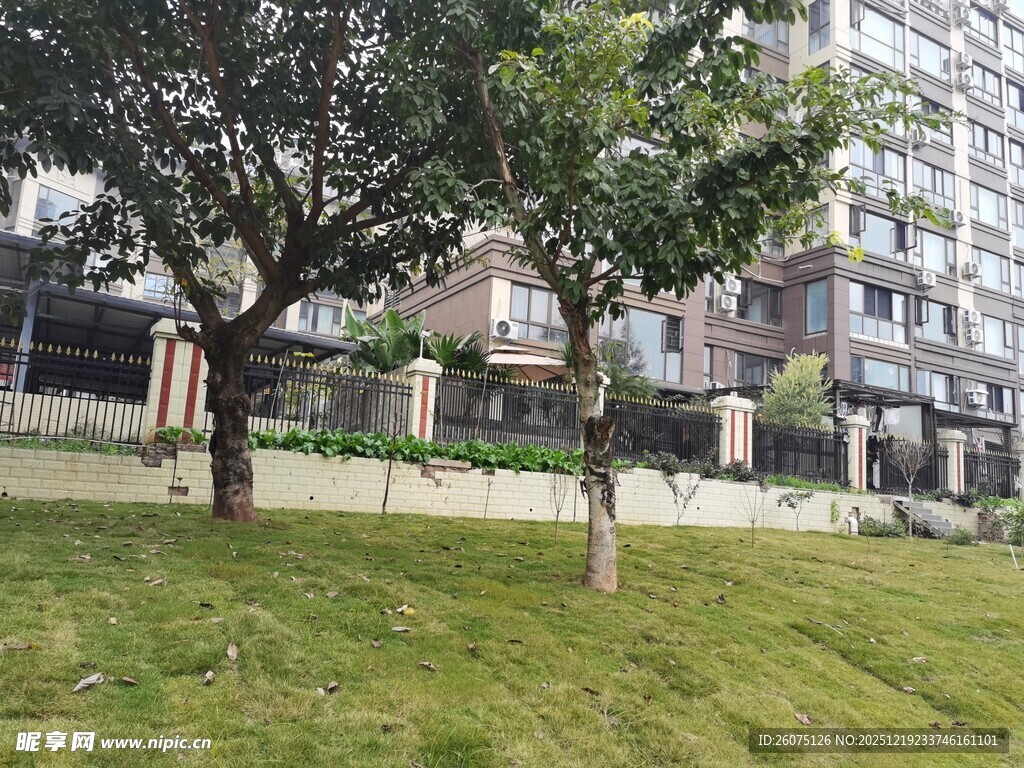 小区内的绿化与建筑景观