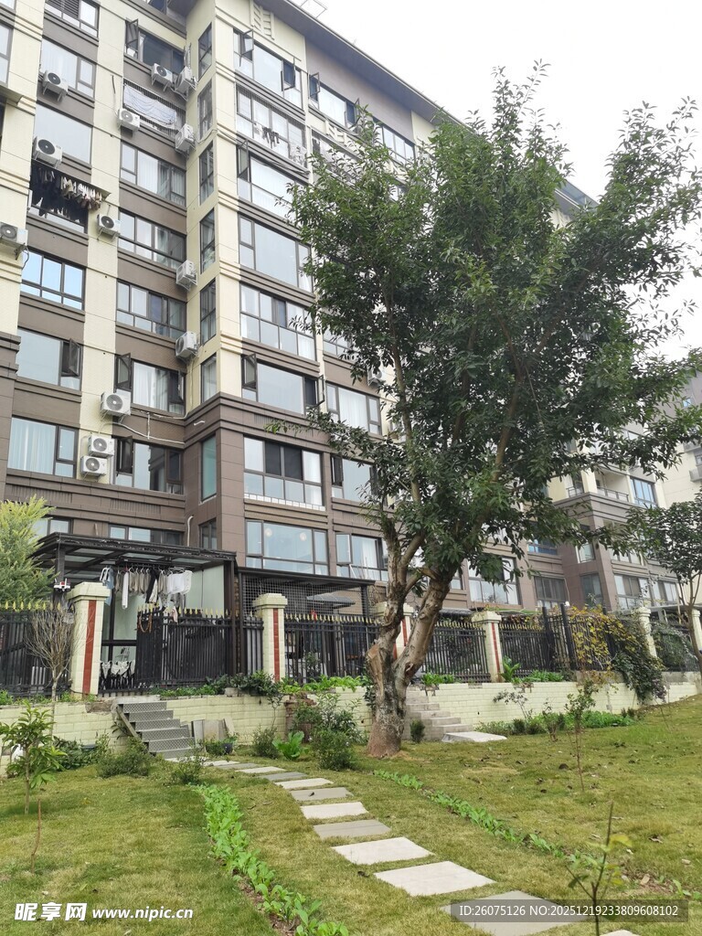 现代住宅旁的绿植景观