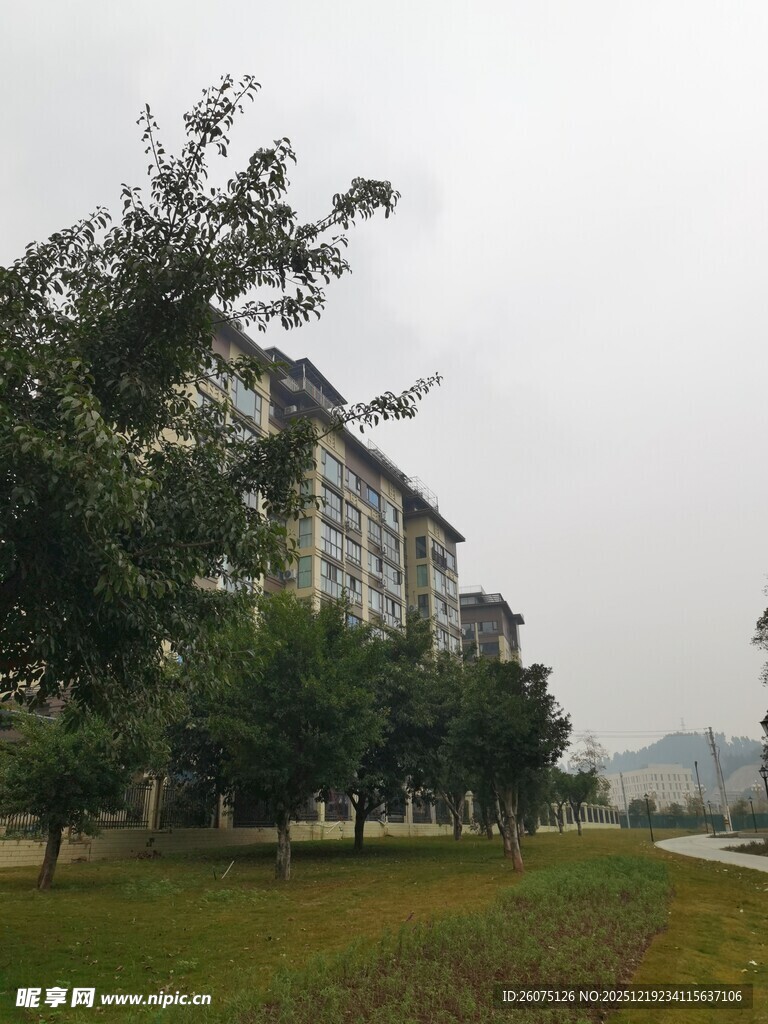 校园绿植环绕的多层建筑