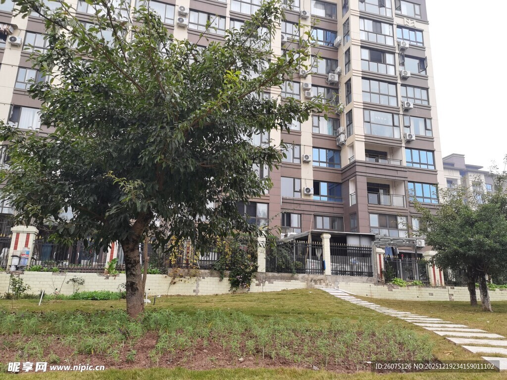 小区内的住宅楼与绿化