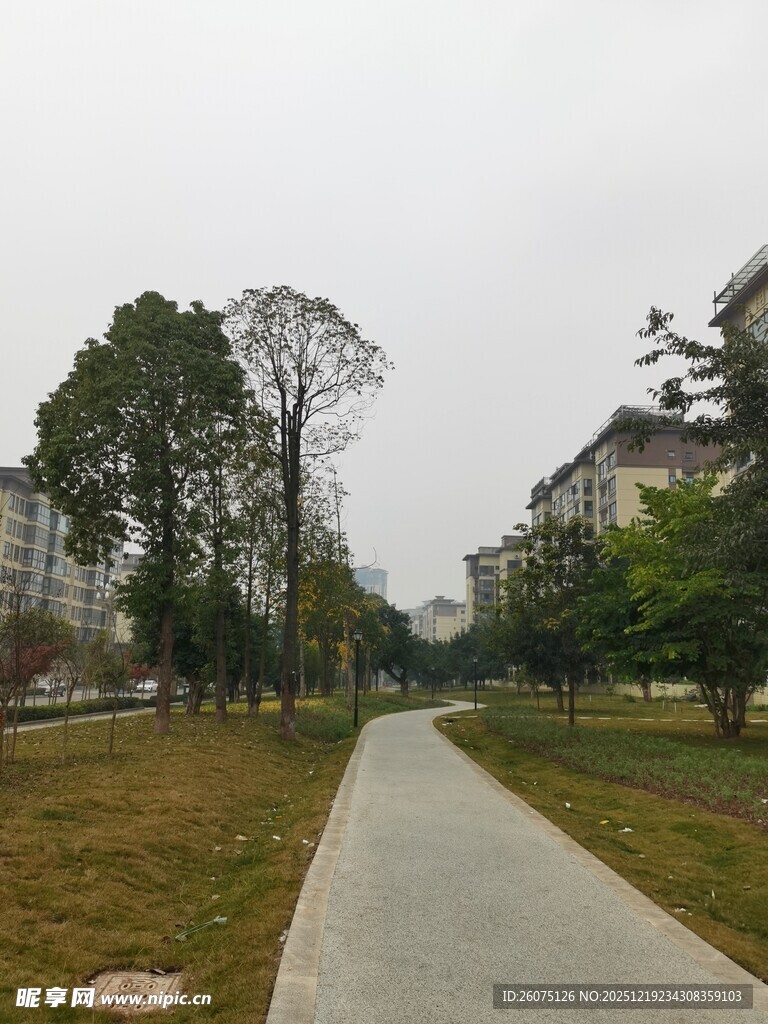 城市中的宁静林荫小道