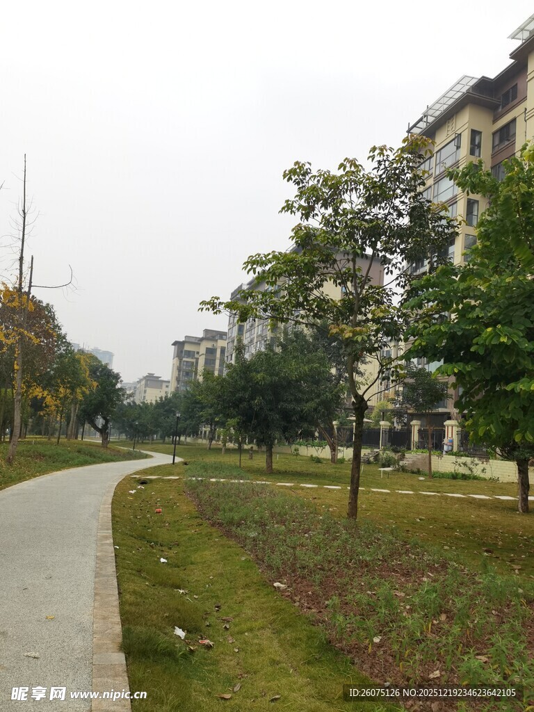 小区内的林荫小道景观