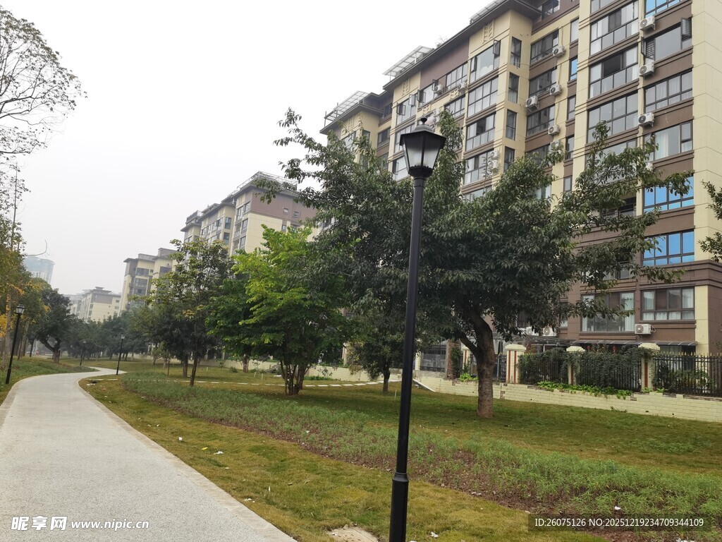 小区内的林荫步道景观