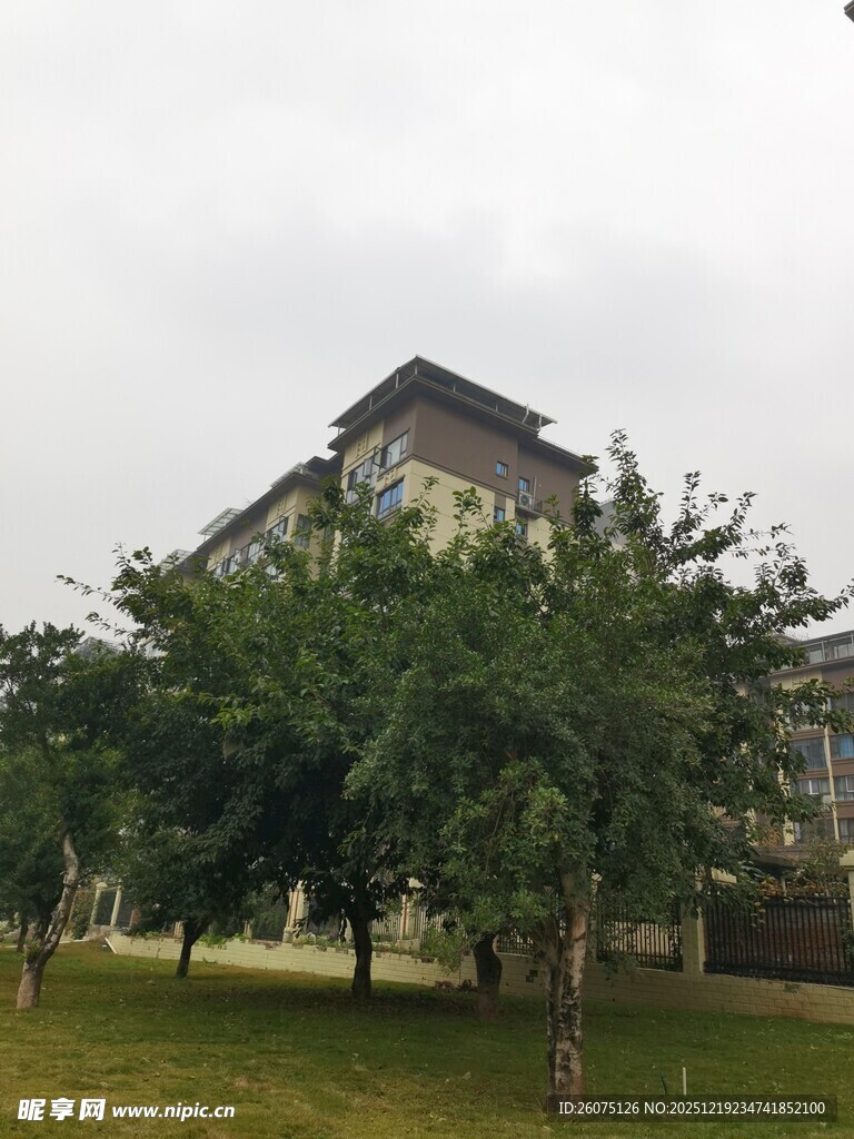 绿树环绕的多层建筑