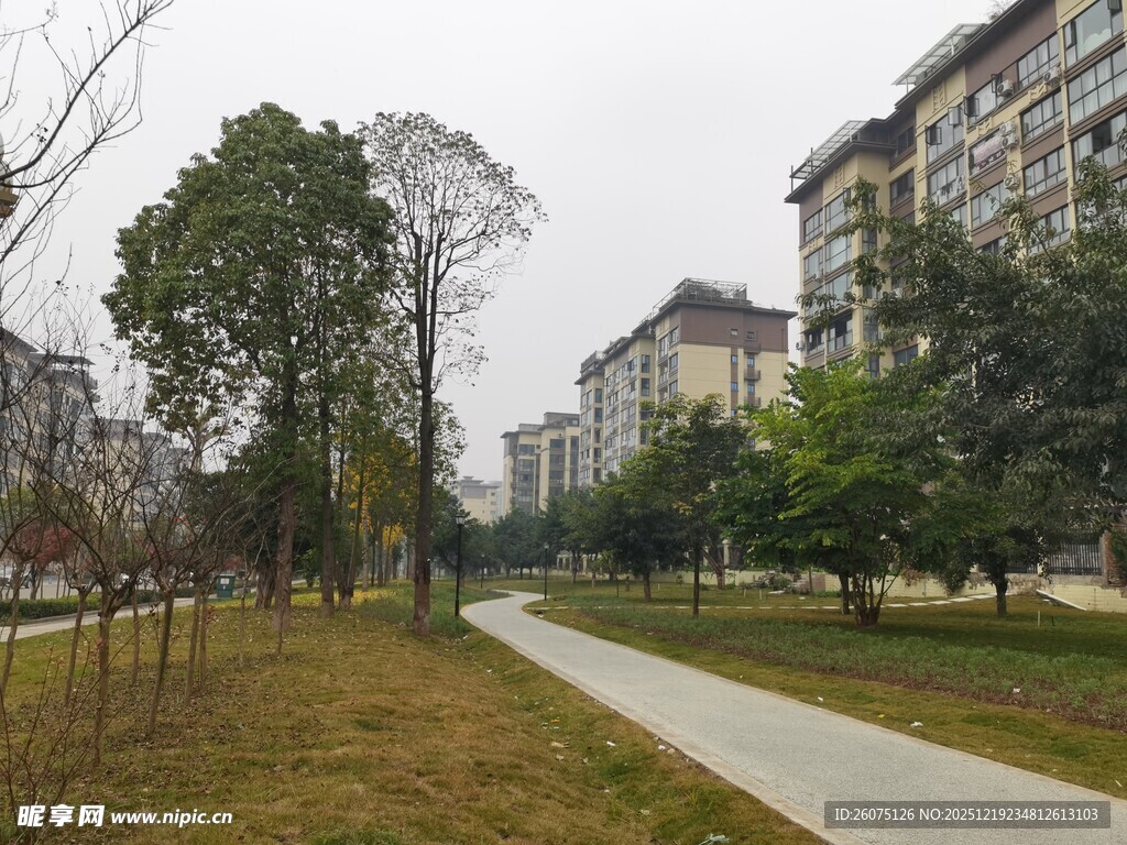 小区内的林荫步道景观