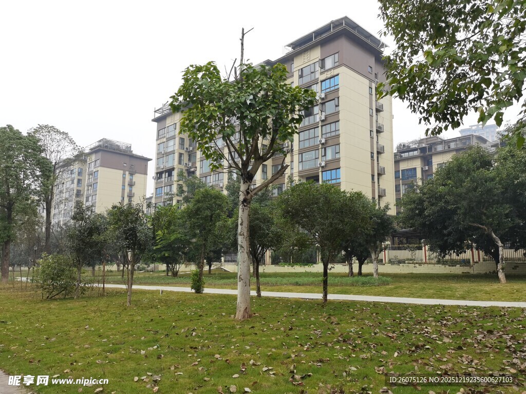 小区旁的绿化景观