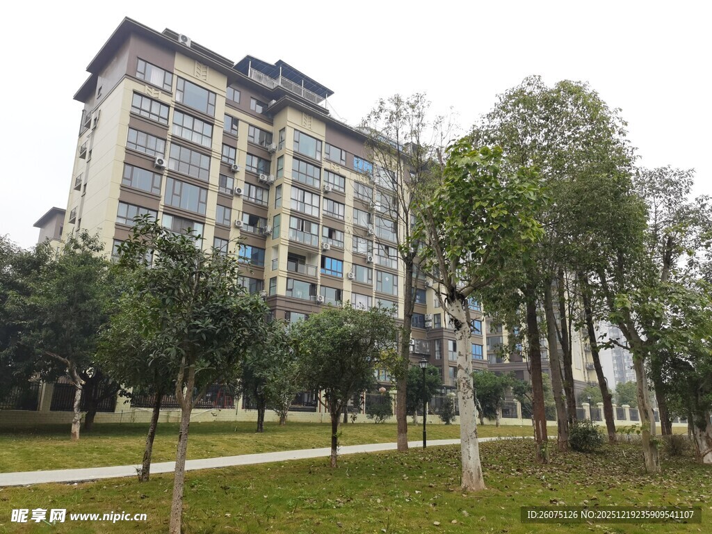 小区住宅楼旁的绿化景观