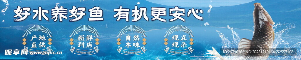 水产区鱼产地灯箱