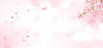 浪漫粉色樱花飘落背景