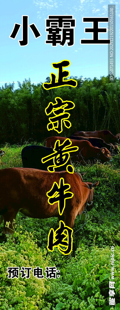 小霸王正宗黄牛肉展板 背景