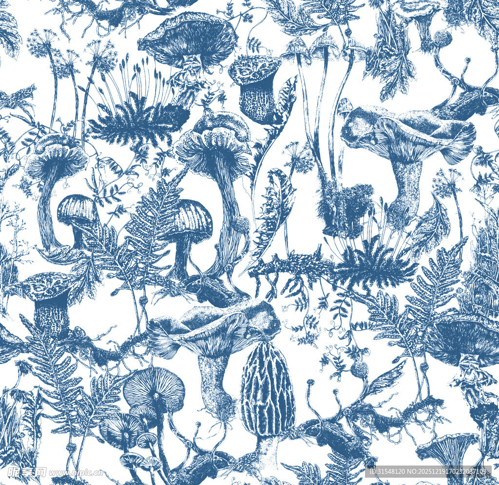 蓝白海洋生物图案纹理