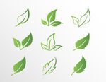 绿叶图标