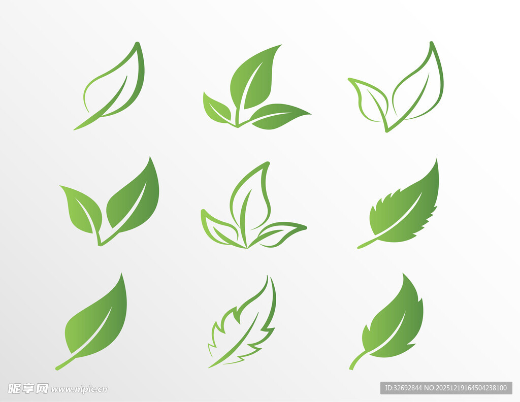 绿叶图标