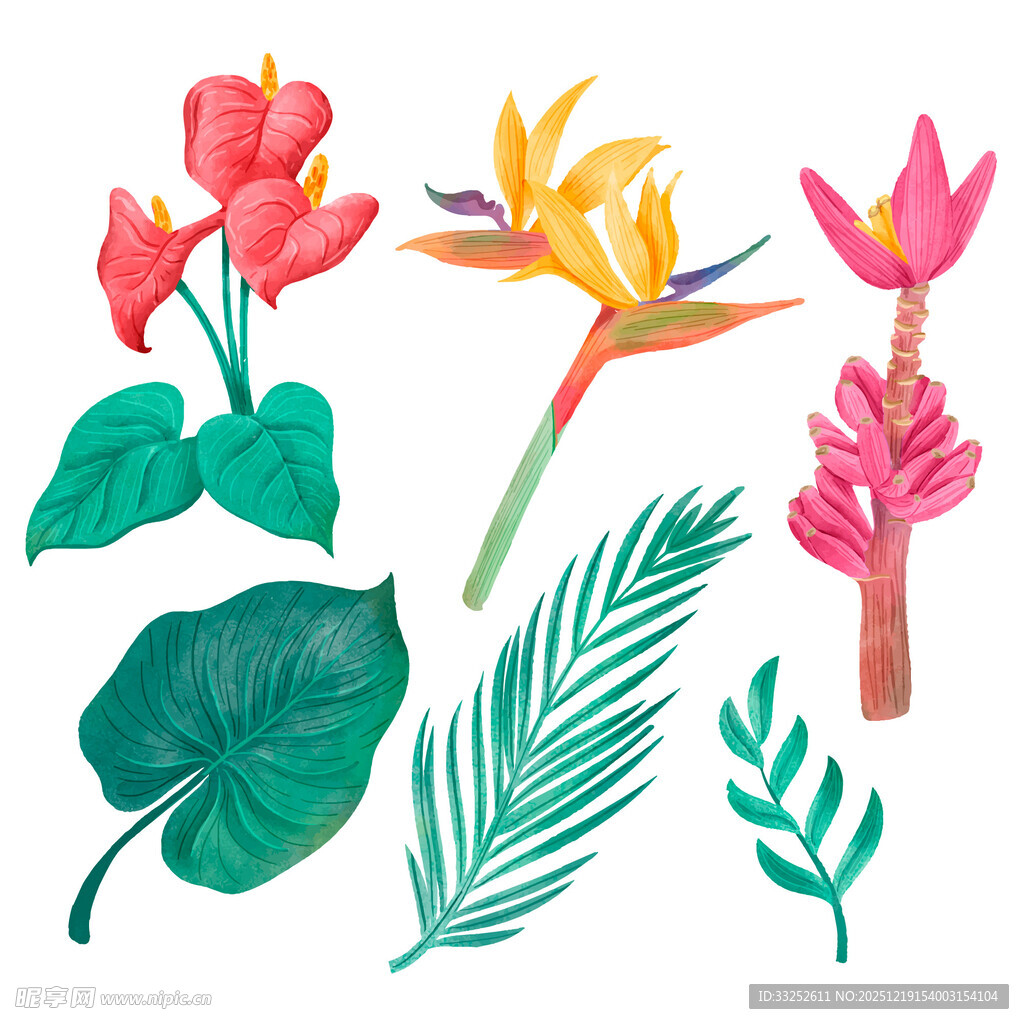 热带花卉与叶片插画素材