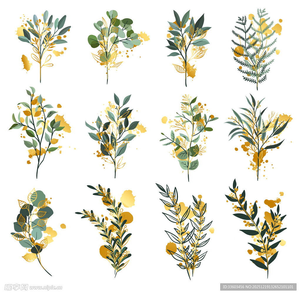 手绘清新植物枝叶插画