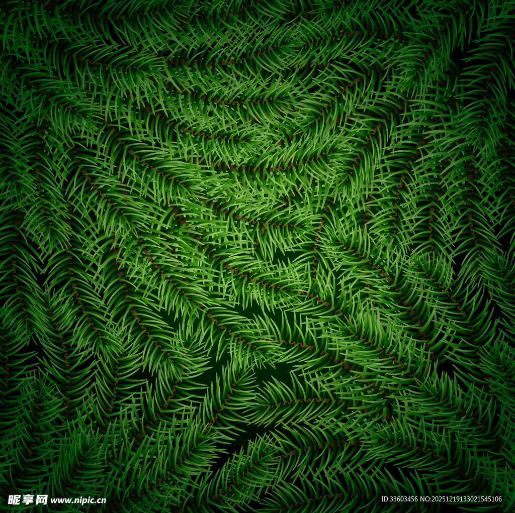 翠绿蕨类纹理背景图