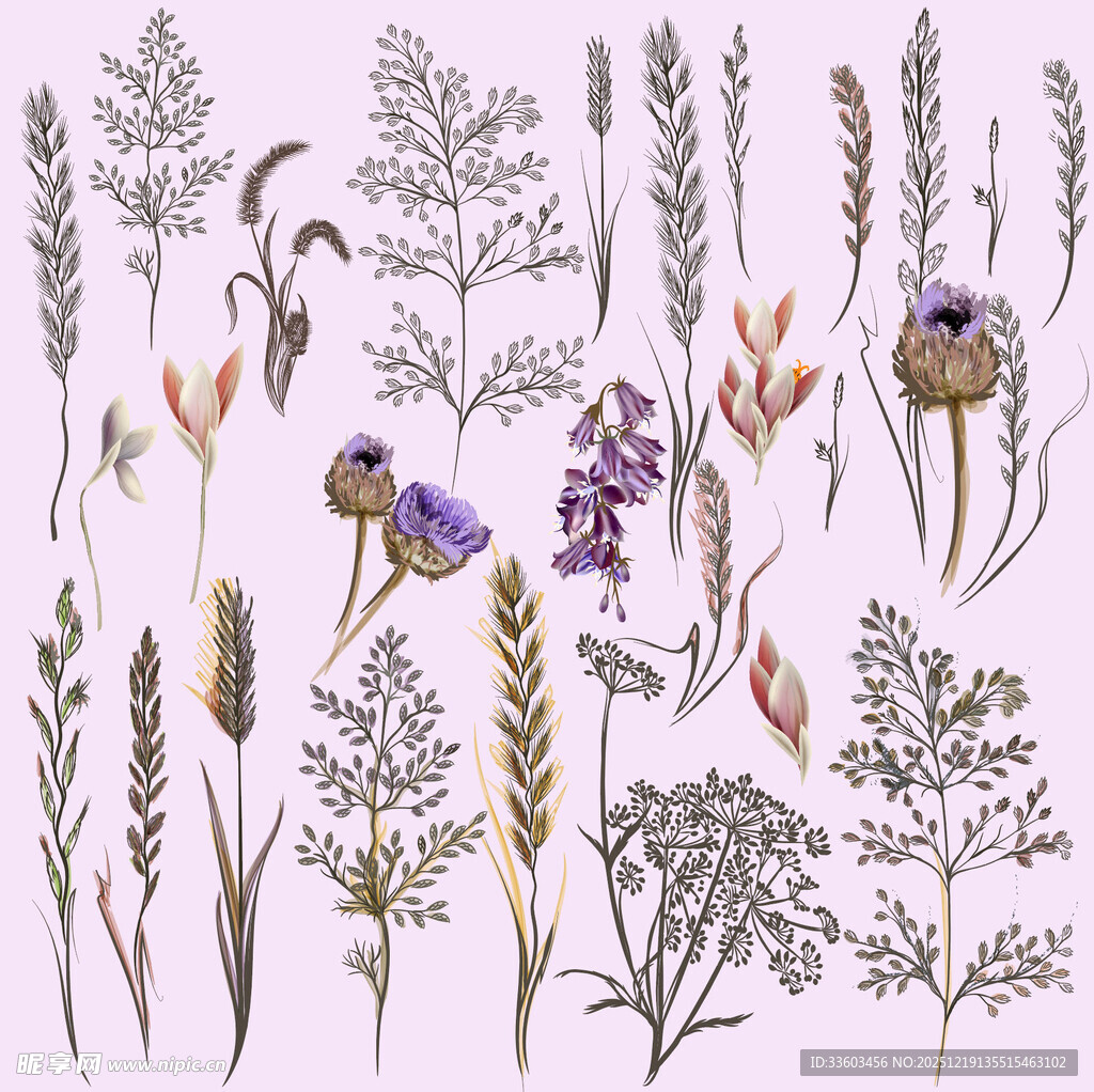 手绘花卉植物插画集