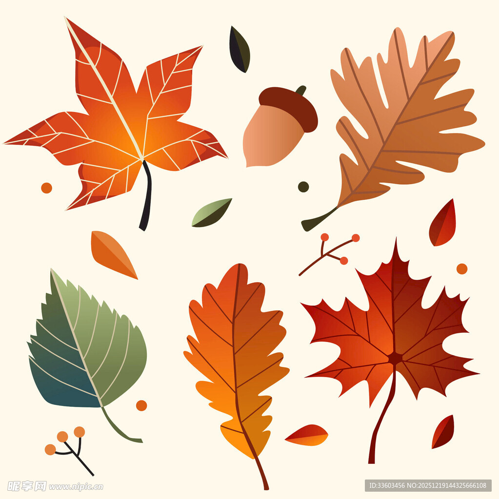 秋季多彩树叶与果实图案
