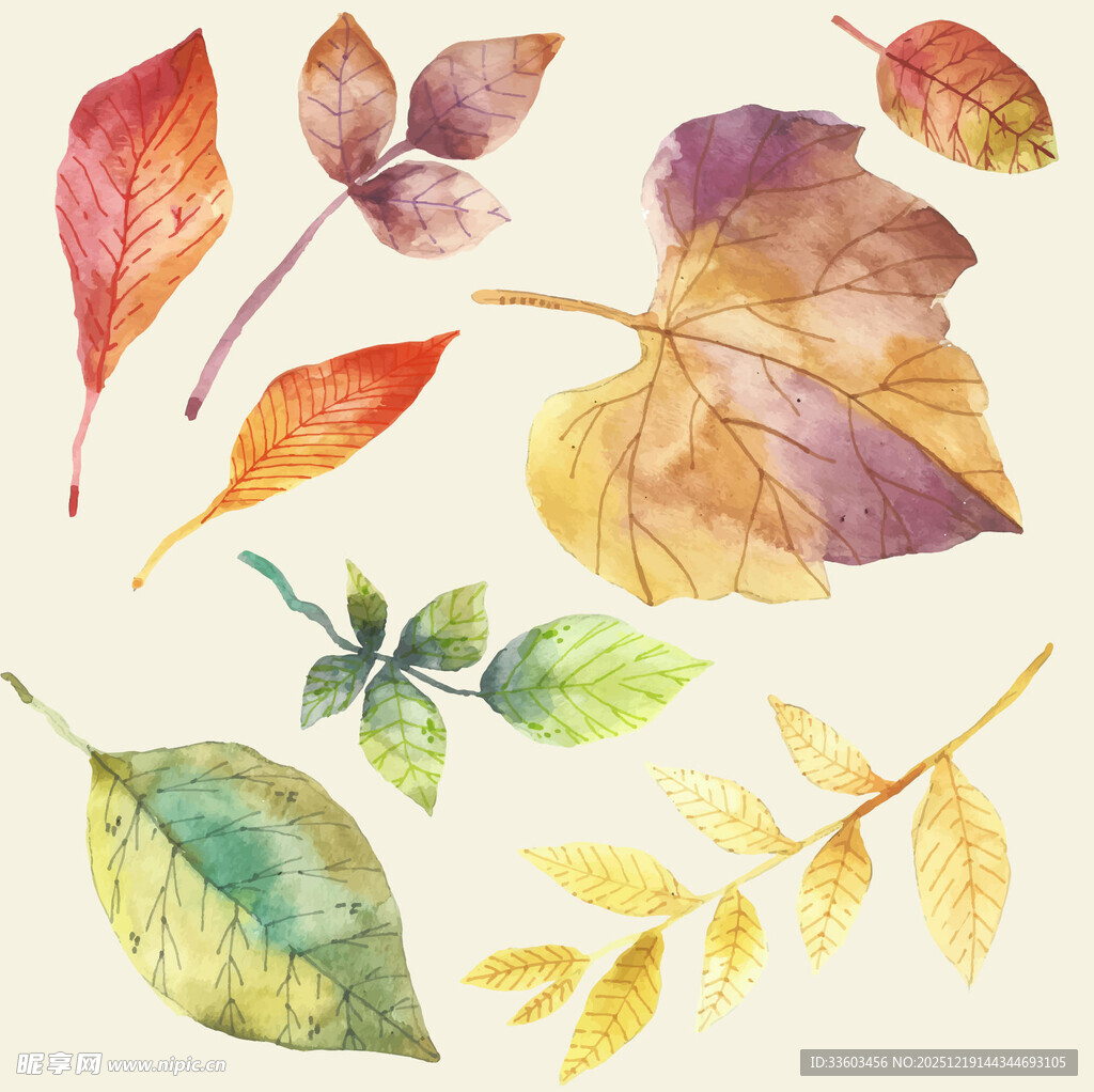 水彩绘多彩秋叶