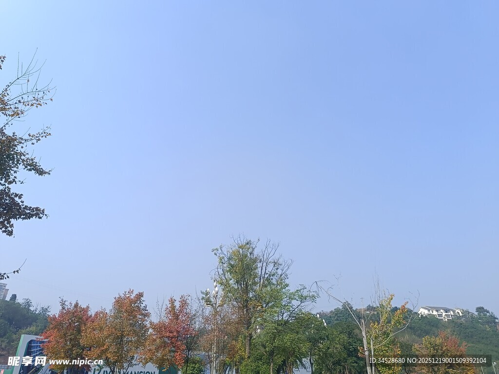 秋日多彩树林与蓝天景色