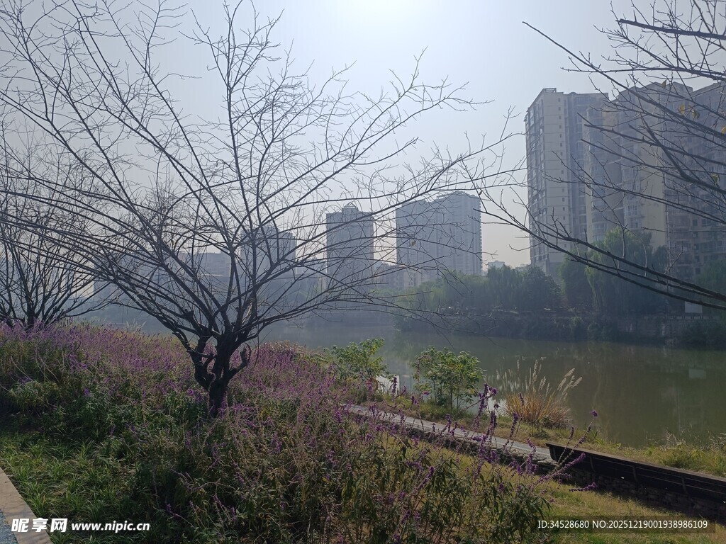 城市河畔冬日景致