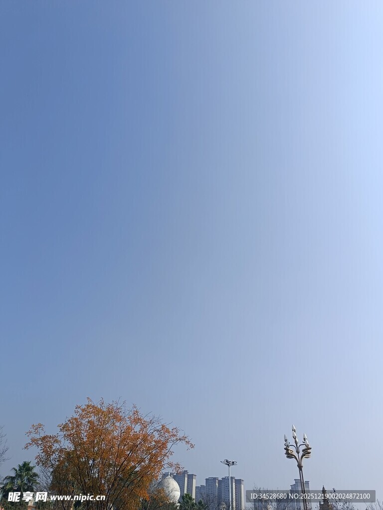 蓝天树木旁的风车景观