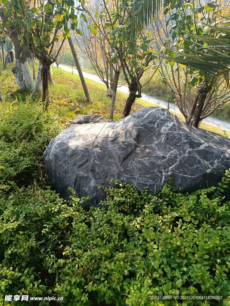 园林中巨石与绿植景观