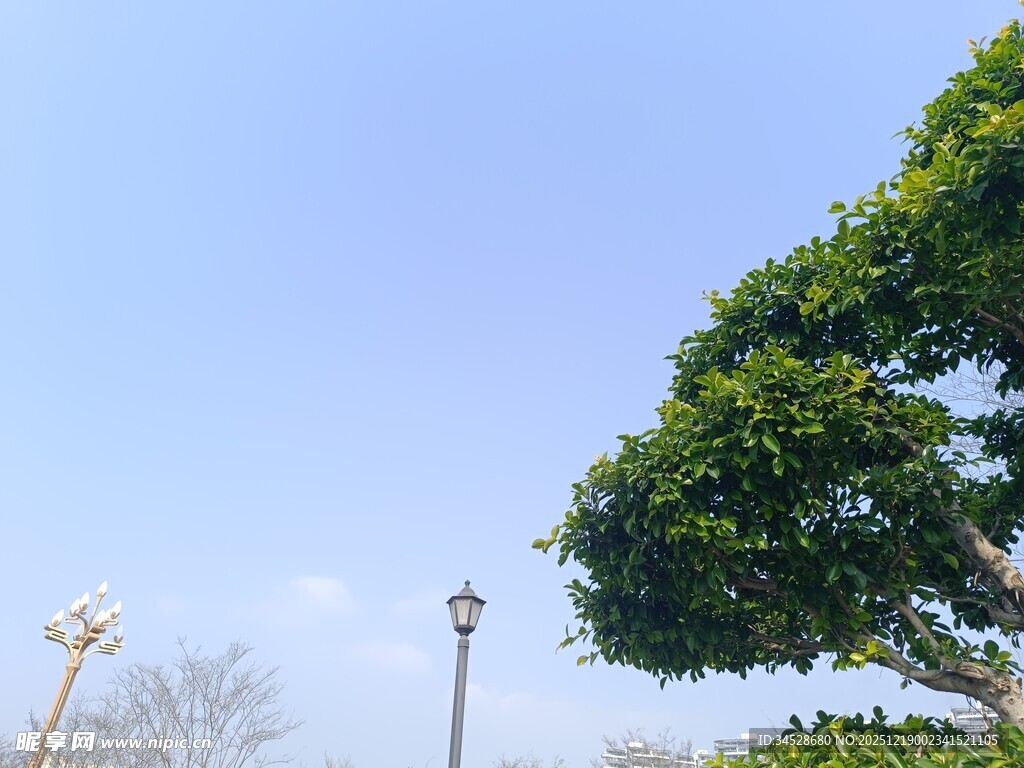 蓝天绿树间的户外景致