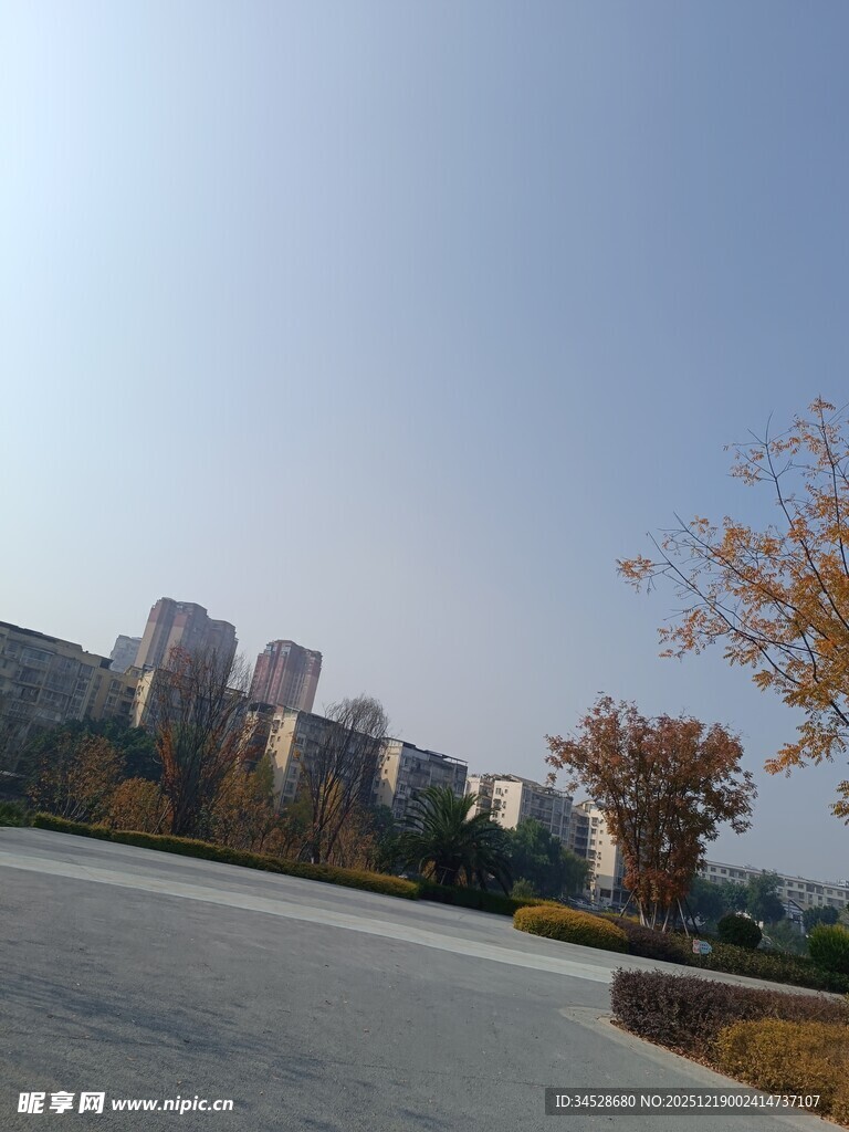 城市道路旁的高楼与秋景