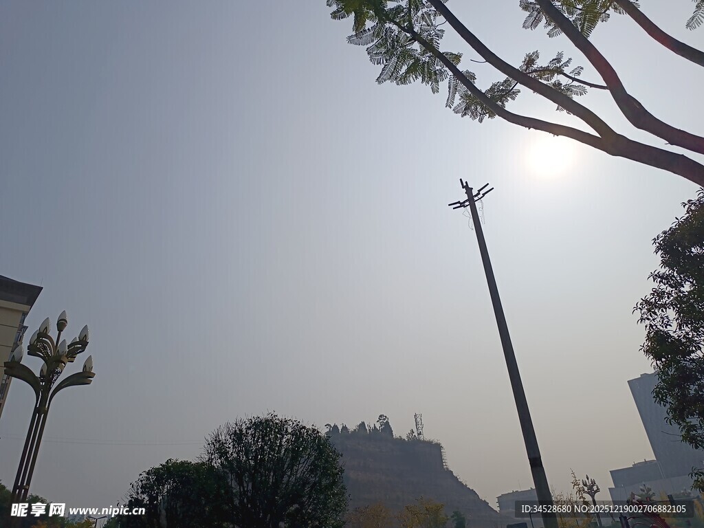 户外路灯与树的景象