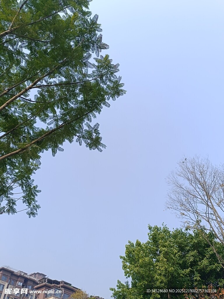 蓝天绿树间的房屋一角