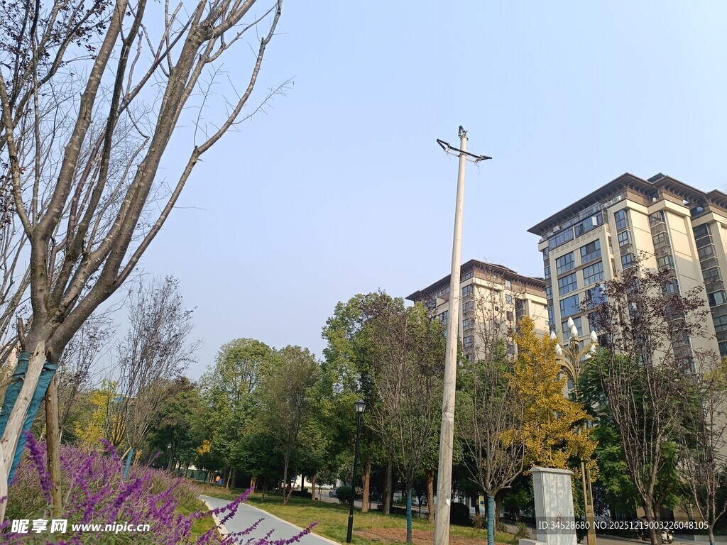 小区旁的多彩户外景致