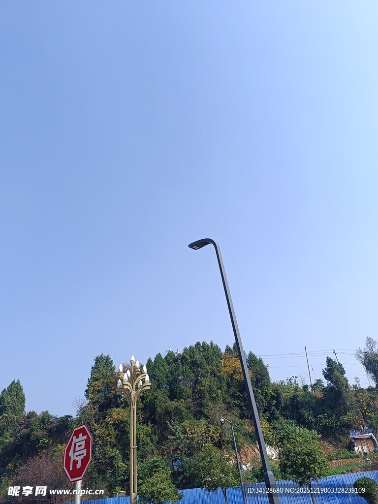 户外路灯与绿树蓝天景象