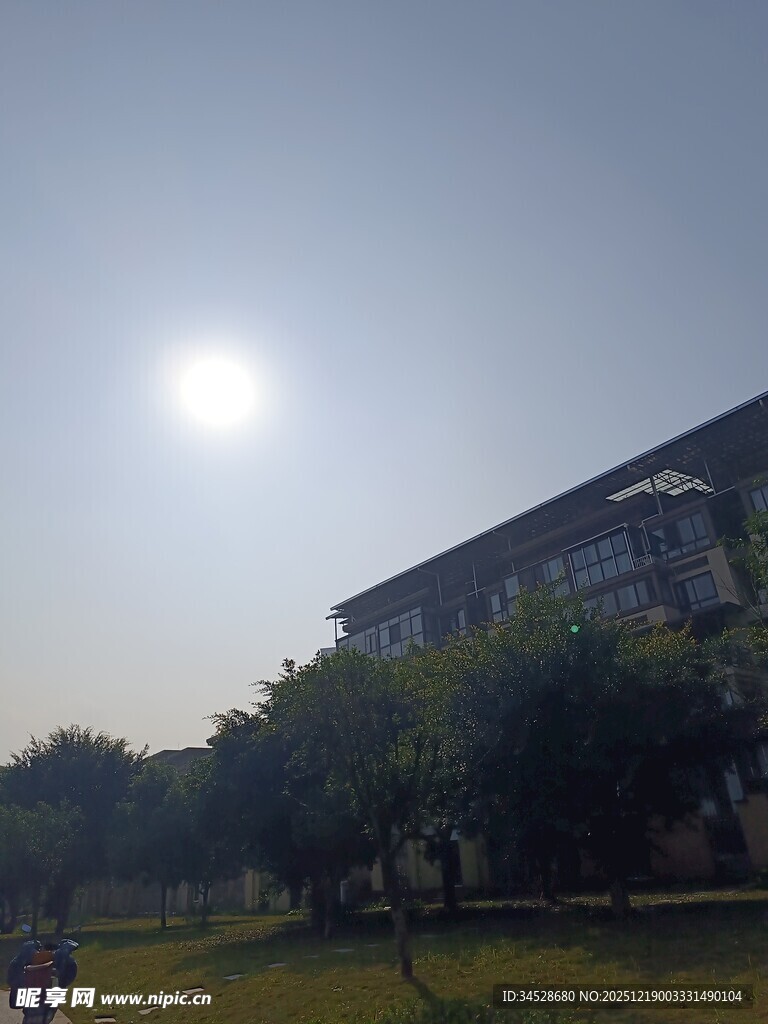 阳光下的校园建筑与绿地