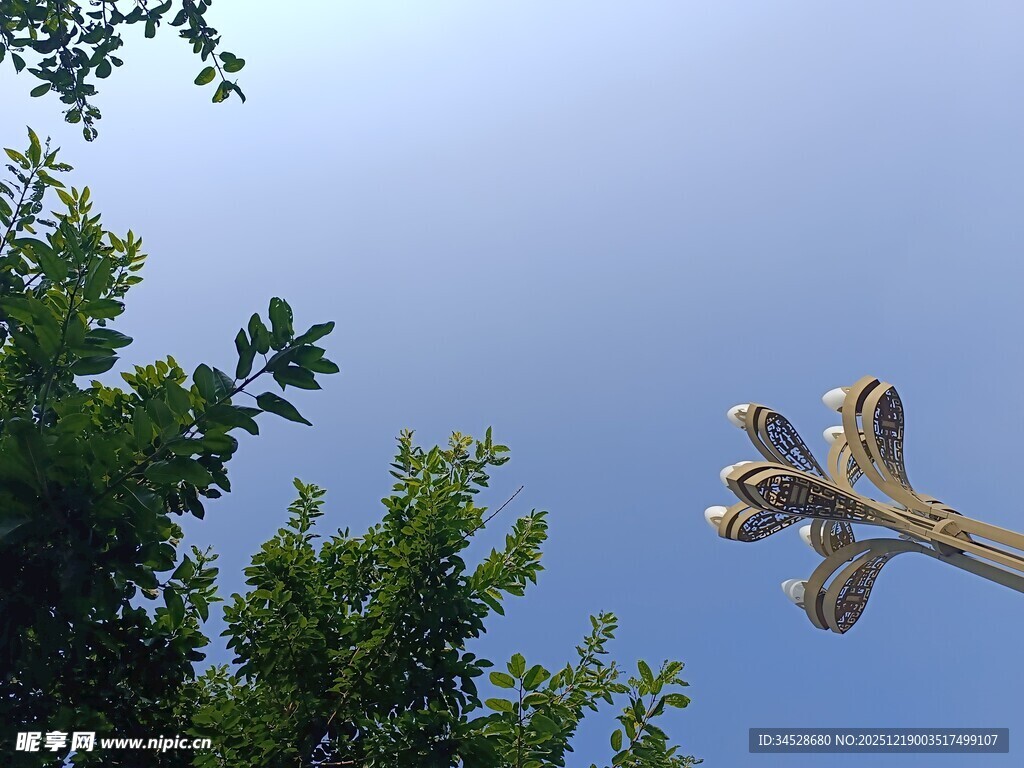 仰视路灯与繁茂绿树