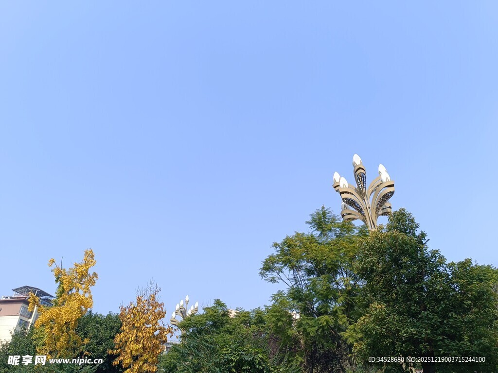 蓝天绿树间的独特建筑