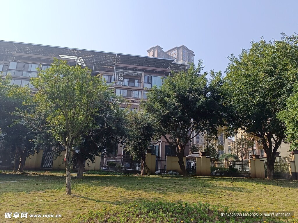 小区内绿树环绕的建筑