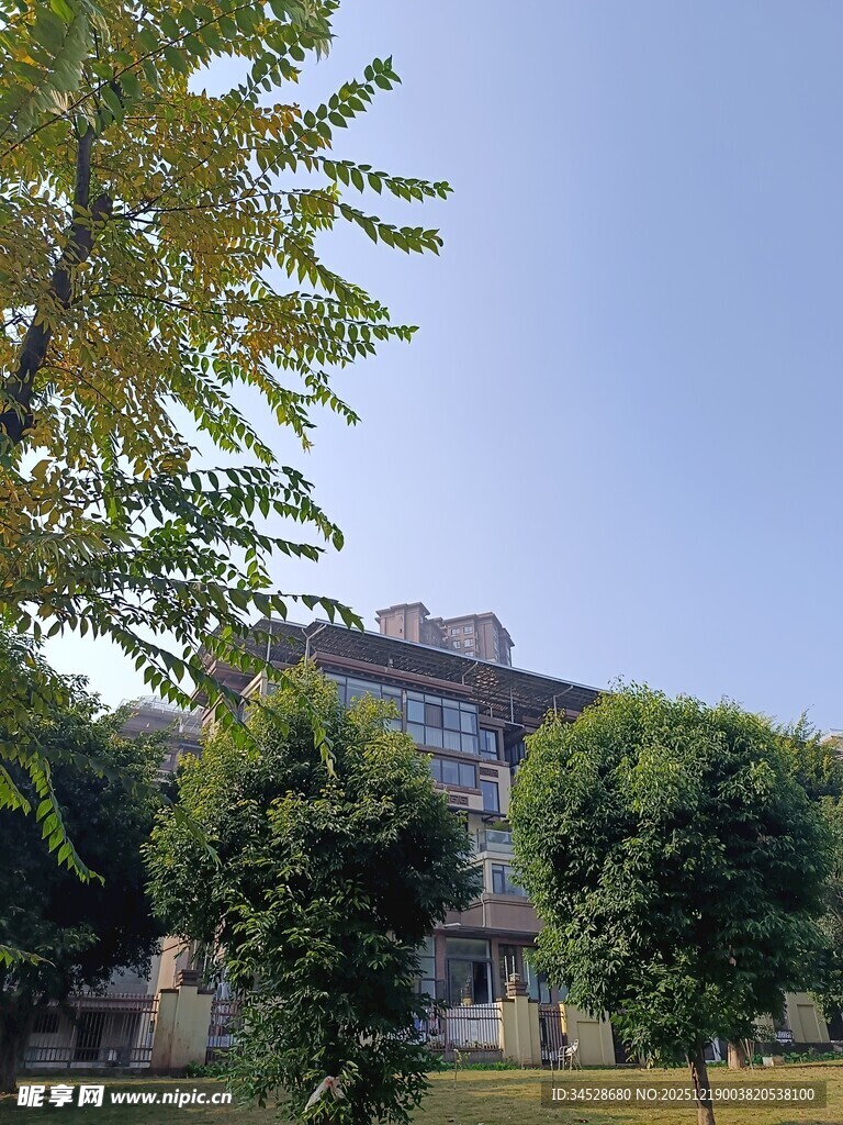 绿树环绕的多层建筑