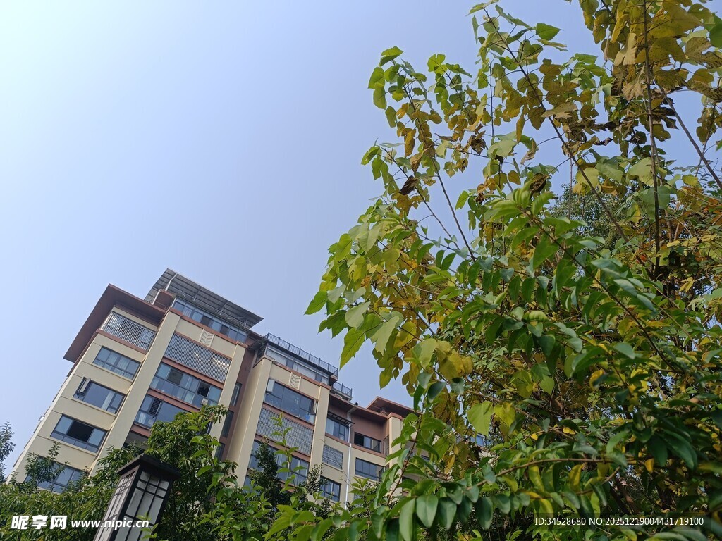 绿树掩映下的多层建筑