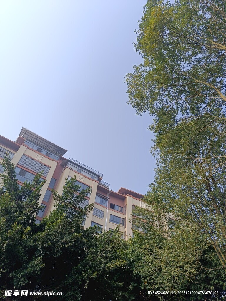 绿树环绕的多层建筑