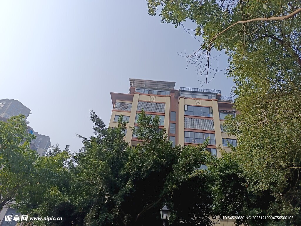 绿树掩映中的多层建筑